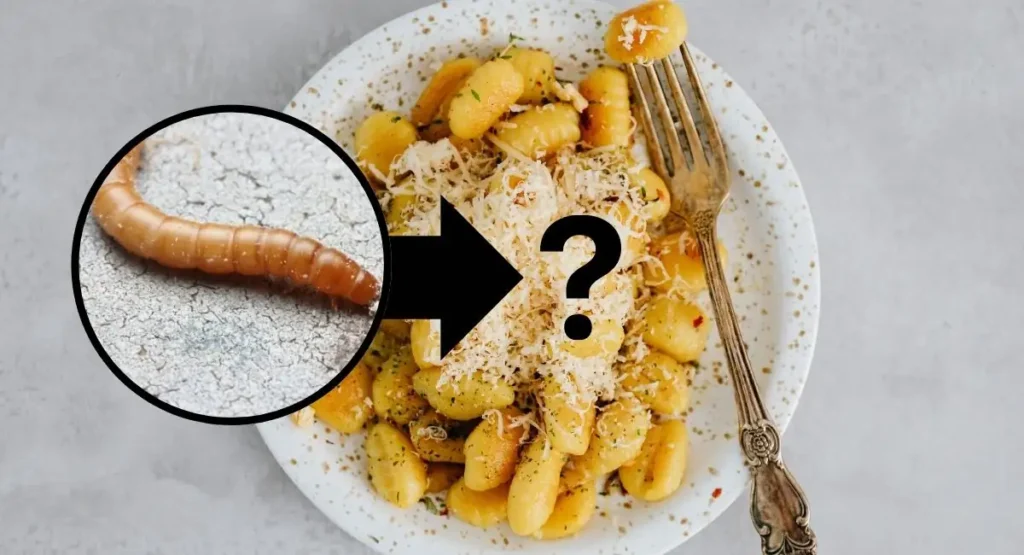 Read more about the article Owady w żywności? Sprawdź czego dotyczy nowe prawo