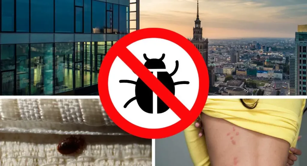 Read more about the article Duże miasto, duży problem – szkodniki w aglomeracjach