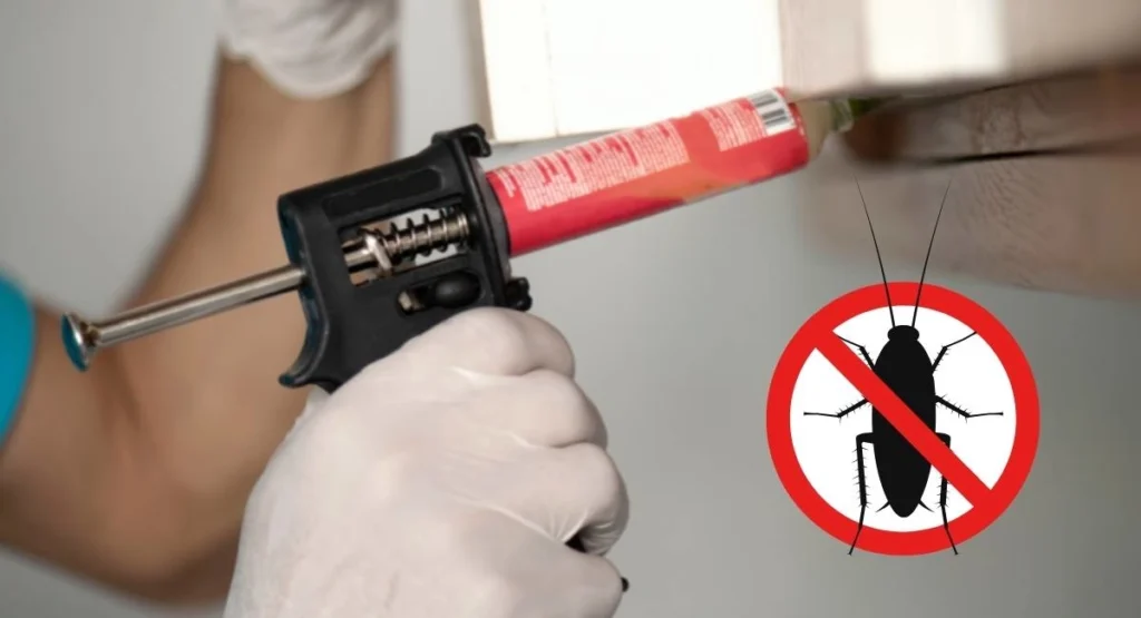 dezynsekcja-karaluchow-w-restauracji