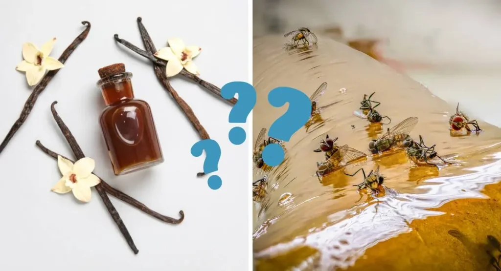 domowe-sposoby-na-muchy-w-oborze