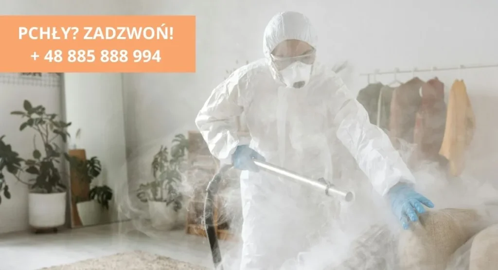 jak-zwalczyć-pchły-dezynsekcja