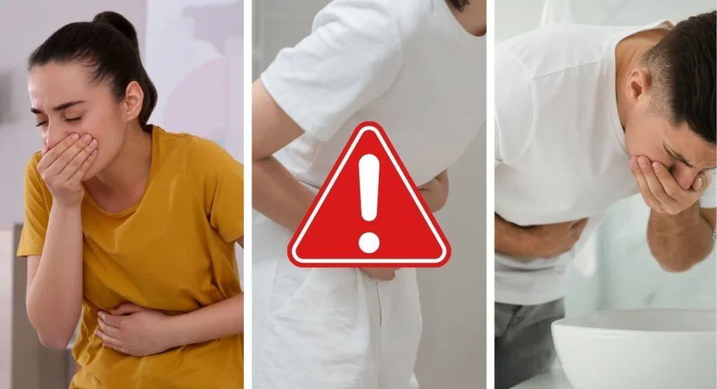 szkodniki-w-gastronomii