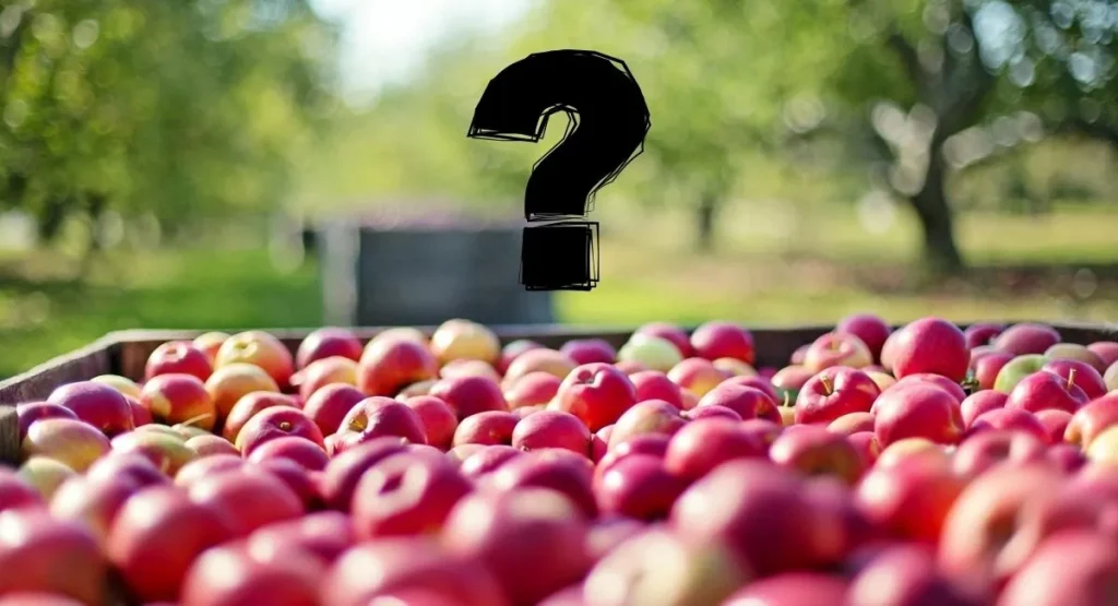 zwalczanie-mszyc-w-sadzie