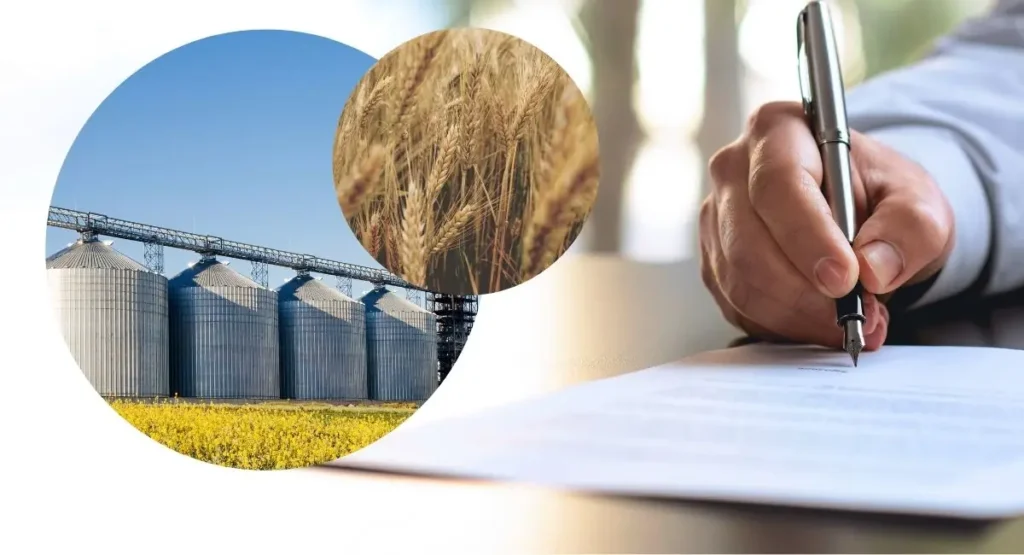 Read more about the article Co to jest fumigacja? Certyfikat i inne wymogi