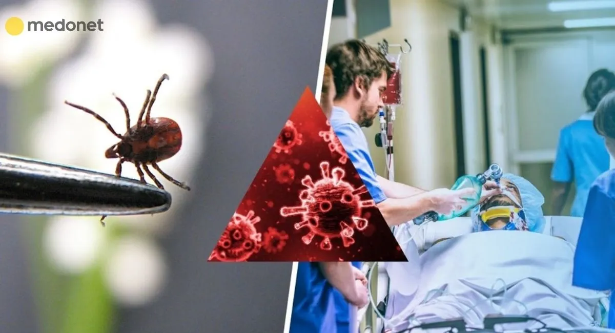 publikacja-insektstop-na-medonet