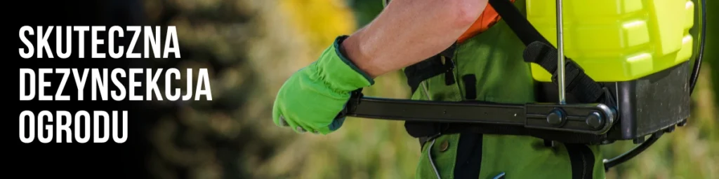 Dezynsekcja latających mrówek w ogrodzie