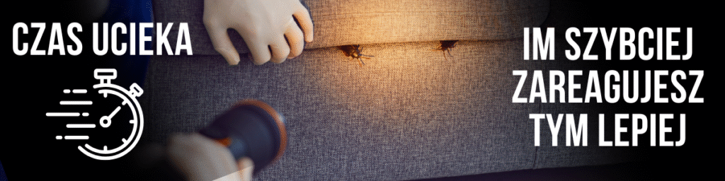 Pluskwy w transporcie publicznym