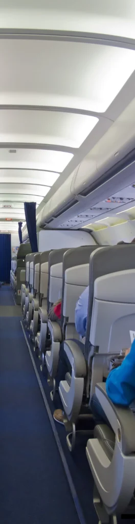 Pluskwy-w-samolotach-Turkish-Airlines