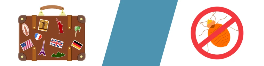 pluskwy w walizce po wakacjach