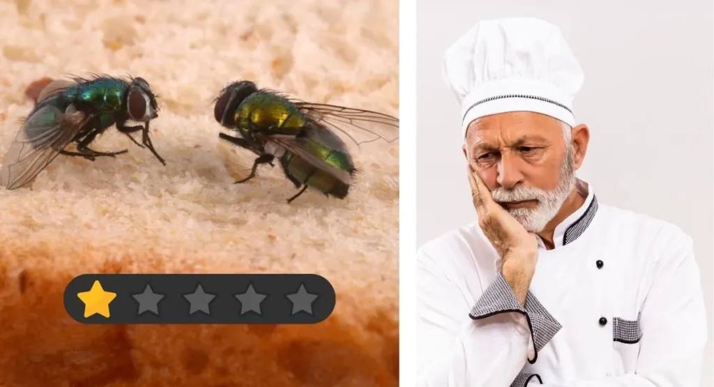 muchy-w-kuchni-i-restauracji