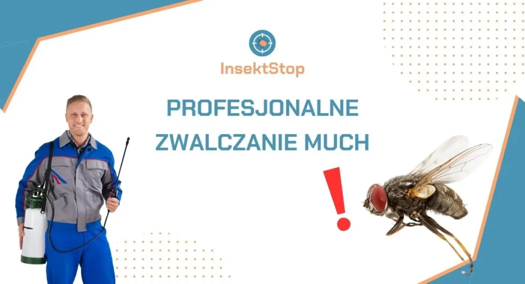 sposob-na-muchy-w-restauracji